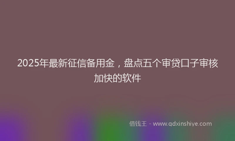 2025年最新征信备用金，盘点五个审贷口子审核加快的软件