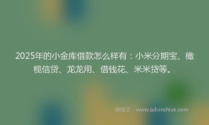 2025年的小金库借款怎么样有：小米分期宝、橄榄信贷、龙龙用、借钱花、米米贷等。