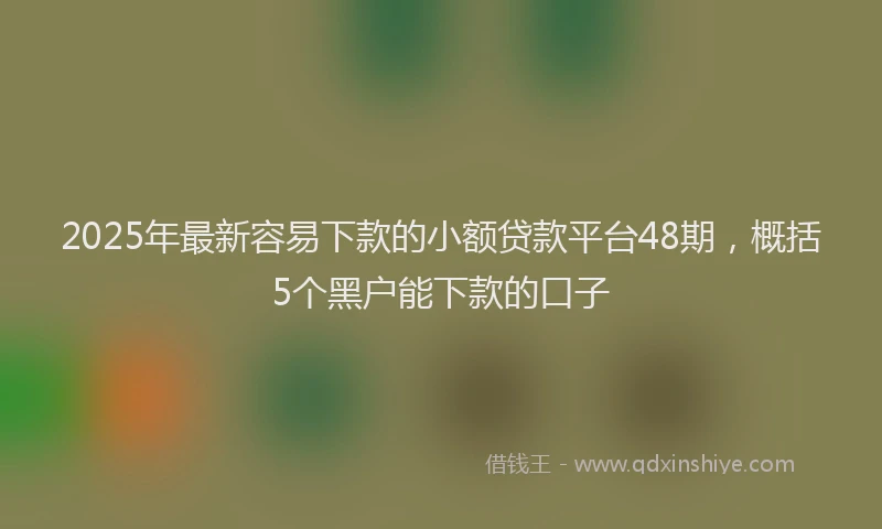 2025年最新容易下款的小额贷款平台48期，概括5个黑户能下款的口子