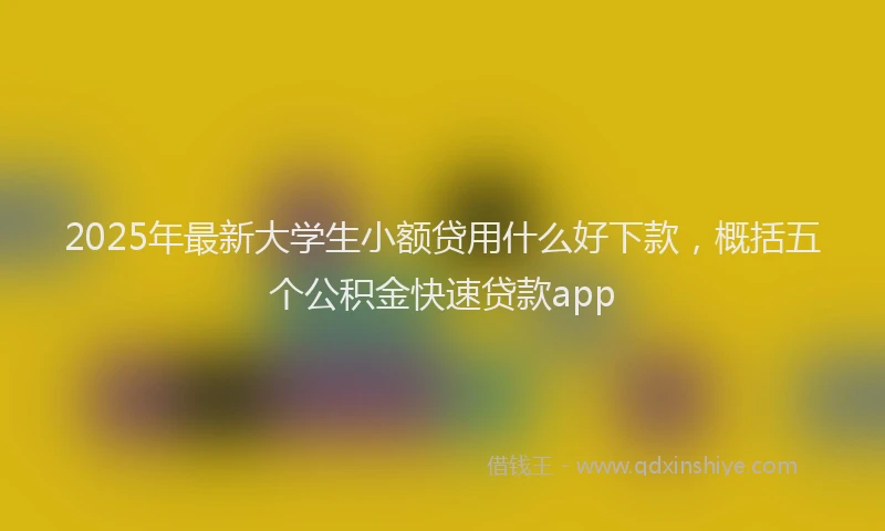 2025年最新大学生小额贷用什么好下款，概括五个公积金快速贷款app