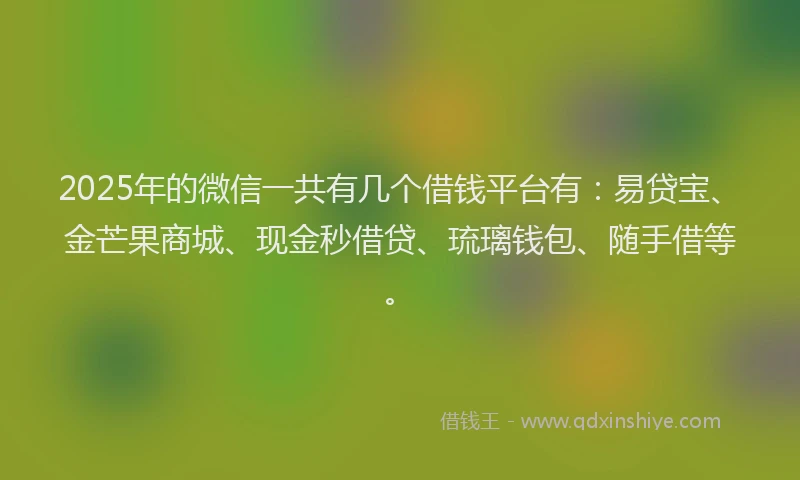 2025年的微信一共有几个借钱平台有：易贷宝、金芒果商城、现金秒借贷、琉璃钱包、随手借等。