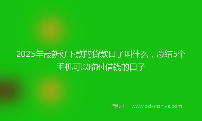 2025年最新好下款的贷款口子叫什么，总结5个手机可以临时借钱的口子