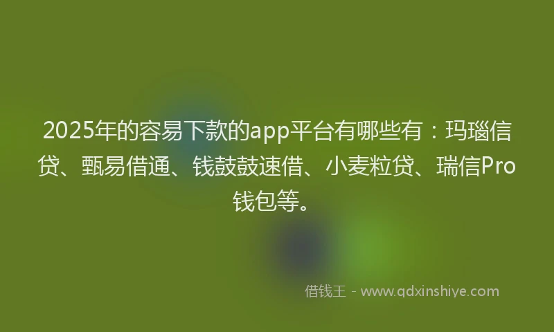 2025年的容易下款的app平台有哪些有：玛瑙信贷、甄易借通、钱鼓鼓速借、小麦粒贷、瑞信Pro钱包等。