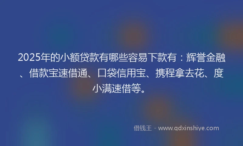 2025年的小额贷款有哪些容易下款有：辉誉金融、借款宝速借通、口袋信用宝、携程拿去花、度小满速借等。