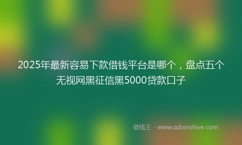 2025年最新容易下款借钱平台是哪个，盘点五个无视网黑征信黑5000贷款口子