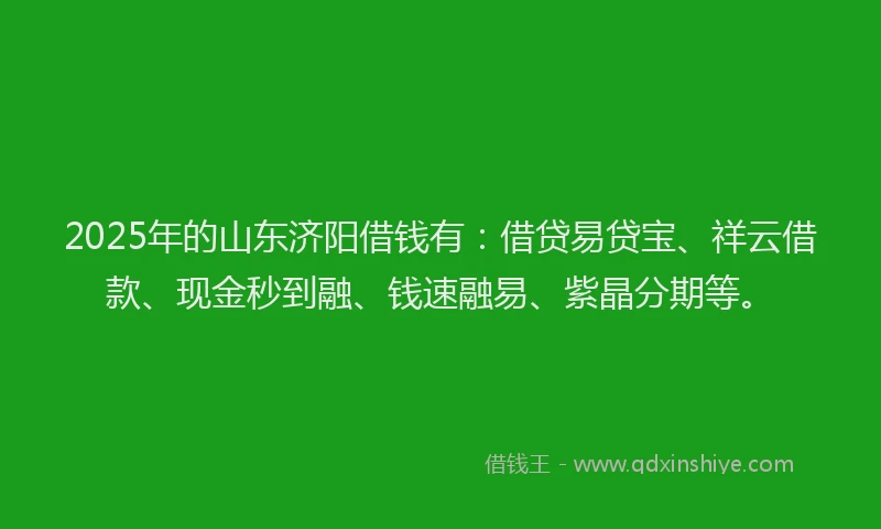 2025年的山东济阳借钱有：借贷易贷宝、祥云借款、现金秒到融、钱速融易、紫晶分期等。