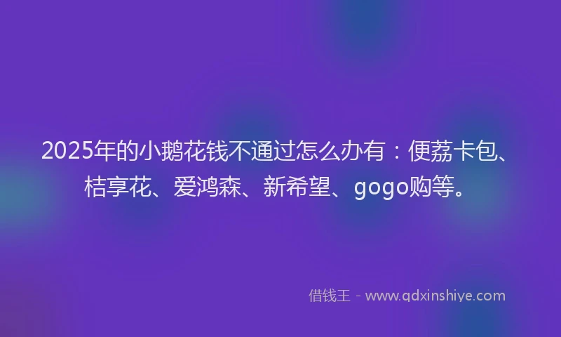 2025年的小鹅花钱不通过怎么办有：便荔卡包、桔享花、爱鸿森、新希望、gogo购等。