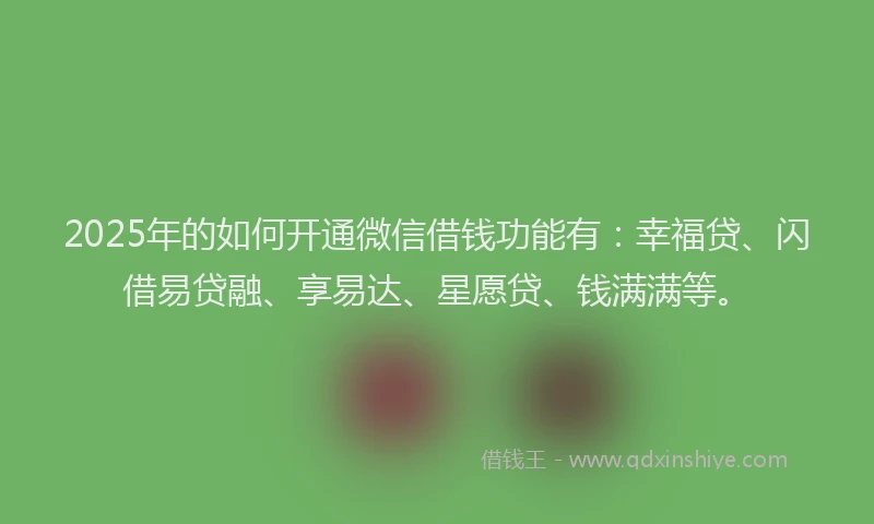 2025年的如何开通微信借钱功能有：幸福贷、闪借易贷融、享易达、星愿贷、钱满满等。