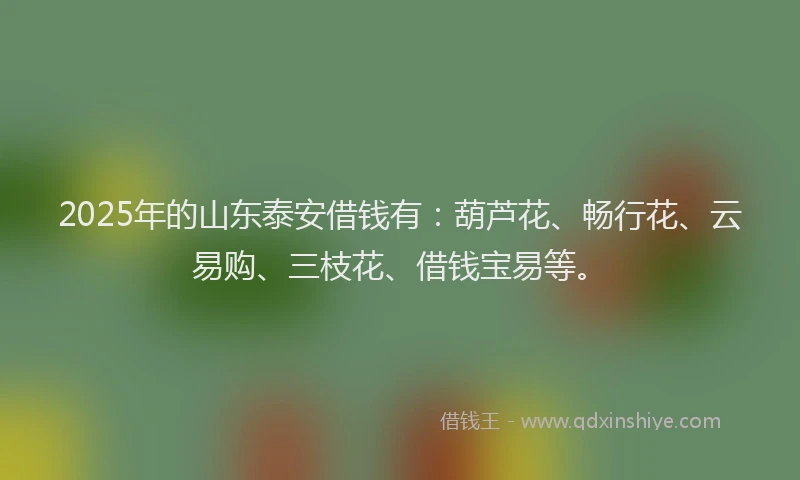 2025年的山东泰安借钱有：葫芦花、畅行花、云易购、三枝花、借钱宝易等。