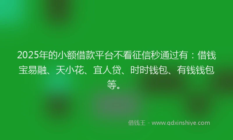 2025年的小额借款平台不看征信秒通过有：借钱宝易融、天小花、宜人贷、时时钱包、有钱钱包等。
