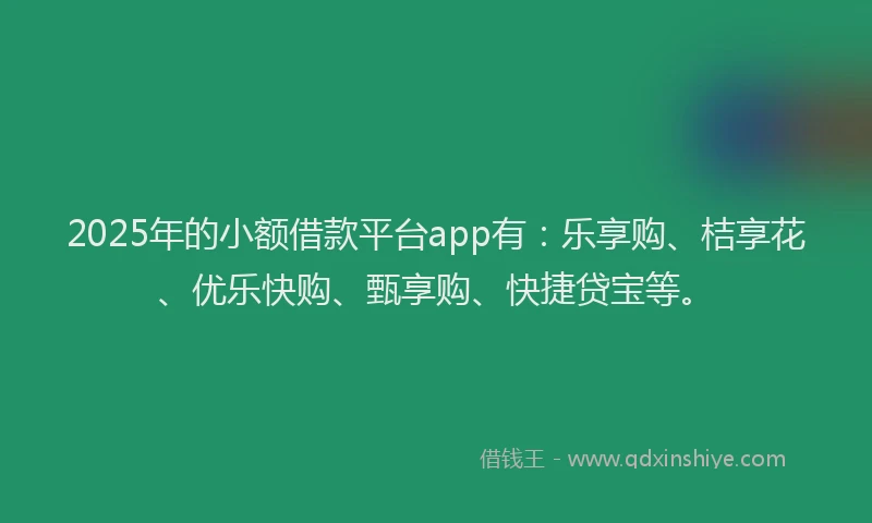 2025年的小额借款平台app有：乐享购、桔享花、优乐快购、甄享购、快捷贷宝等。