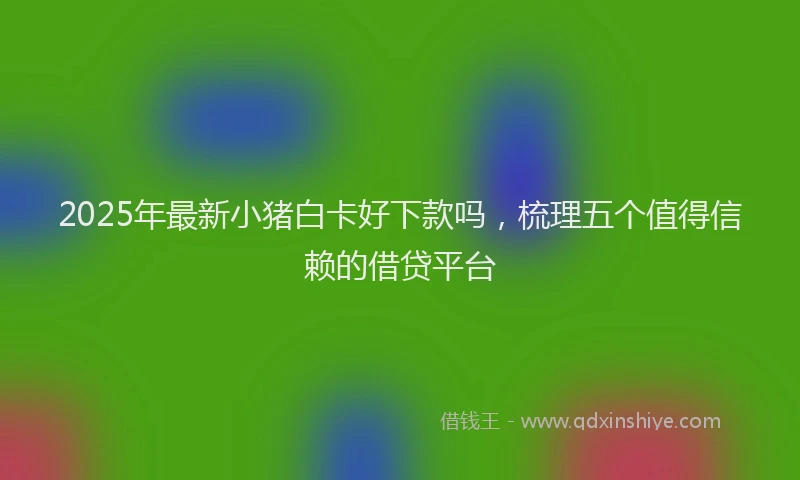 2025年最新小猪白卡好下款吗，梳理五个值得信赖的借贷平台