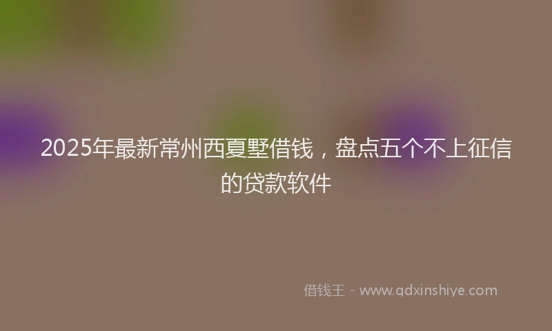 2025年最新常州西夏墅借钱，盘点五个不上征信的贷款软件