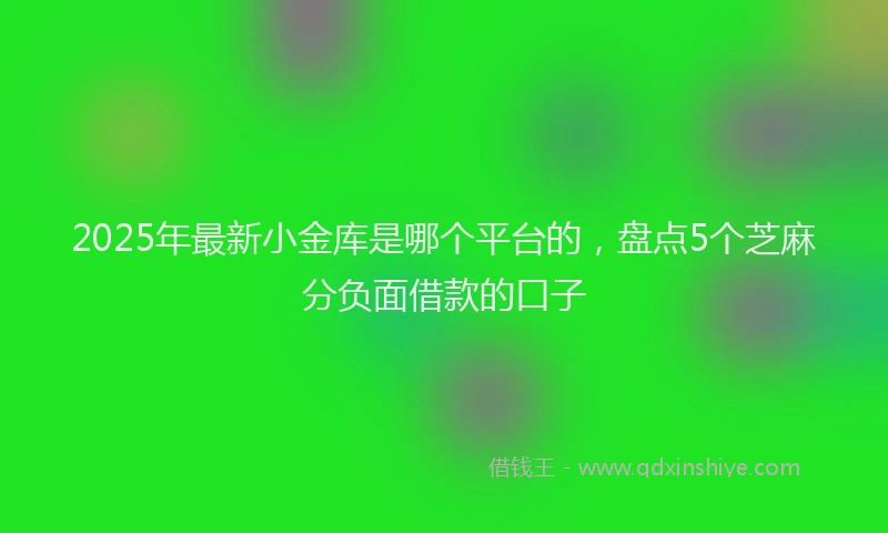 2025年最新小金库是哪个平台的，盘点5个芝麻分负面借款的口子