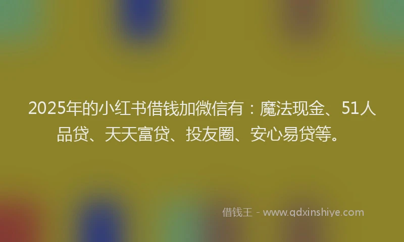 2025年的小红书借钱加微信有：魔法现金、51人品贷、天天富贷、投友圈、安心易贷等。