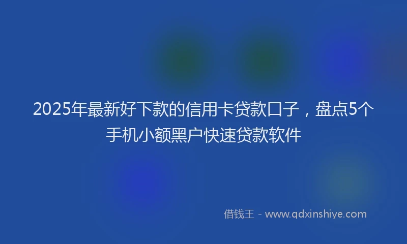 2025年最新好下款的信用卡贷款口子，盘点5个手机小额黑户快速贷款软件