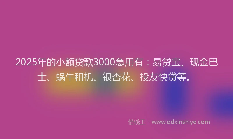 2025年的小额贷款3000急用有：易贷宝、现金巴士、蜗牛租机、银杏花、投友快贷等。