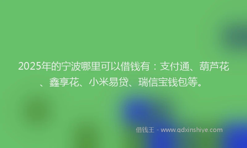 2025年的宁波哪里可以借钱有：支付通、葫芦花、鑫享花、小米易贷、瑞信宝钱包等。