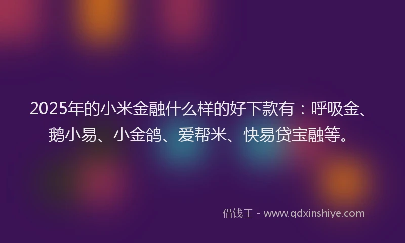 2025年的小米金融什么样的好下款有：呼吸金、鹅小易、小金鸽、爱帮米、快易贷宝融等。