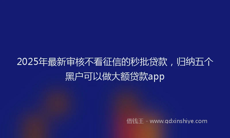 2025年最新审核不看征信的秒批贷款，归纳五个黑户可以做大额贷款app
