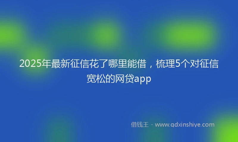 2025年最新征信花了哪里能借，梳理5个对征信宽松的网贷app