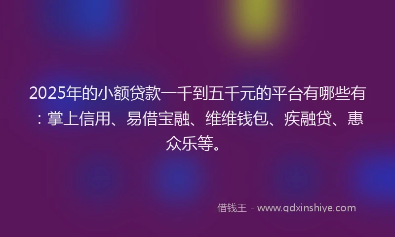 2025年的小额贷款一千到五千元的平台有哪些有：掌上信用、易借宝融、维维钱包、疾融贷、惠众乐等。