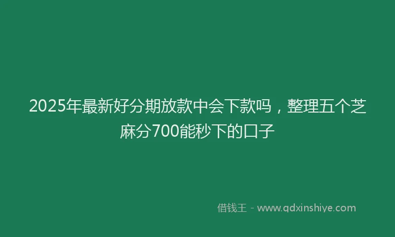 2025年最新好分期放款中会下款吗，整理五个芝麻分700能秒下的口子