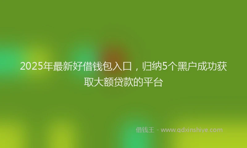 2025年最新好借钱包入口，归纳5个黑户成功获取大额贷款的平台