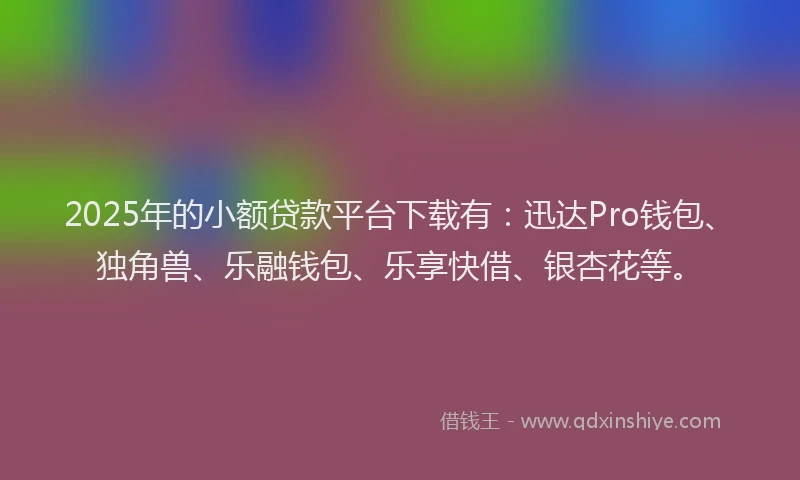 2025年的小额贷款平台下载有：迅达Pro钱包、独角兽、乐融钱包、乐享快借、银杏花等。