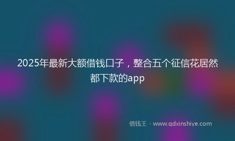 2025年最新大额借钱口子，整合五个征信花居然都下款的app