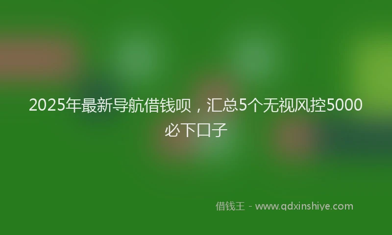 2025年最新导航借钱呗，汇总5个无视风控5000必下口子