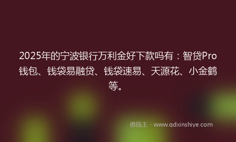 2025年的宁波银行万利金好下款吗有：智贷Pro钱包、钱袋易融贷、钱袋速易、天源花、小金鹤等。