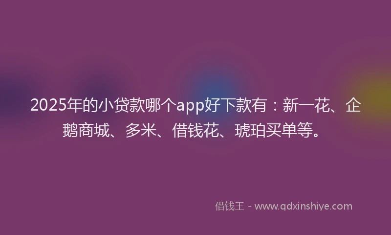 2025年的小贷款哪个app好下款有：新一花、企鹅商城、多米、借钱花、琥珀买单等。