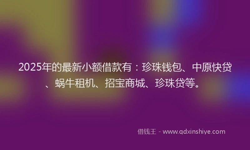 2025年的最新小额借款有：珍珠钱包、中原快贷、蜗牛租机、招宝商城、珍珠贷等。