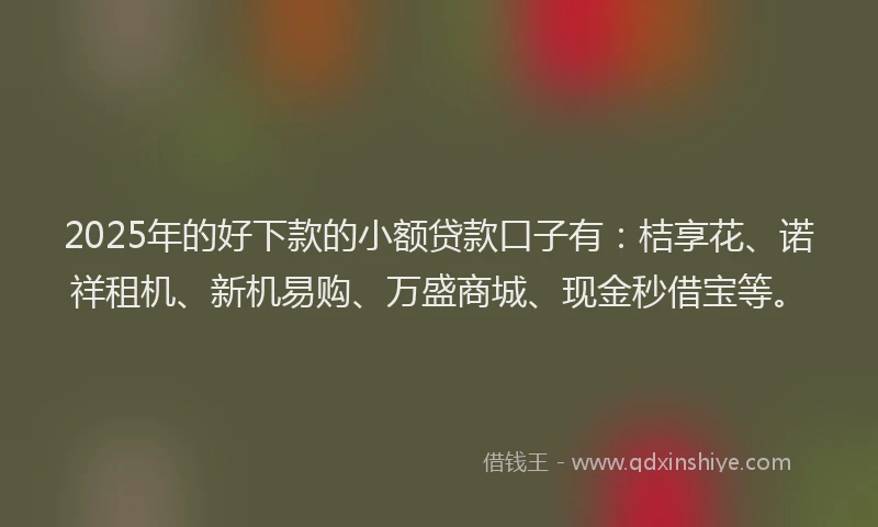 2025年的好下款的小额贷款口子有：桔享花、诺祥租机、新机易购、万盛商城、现金秒借宝等。