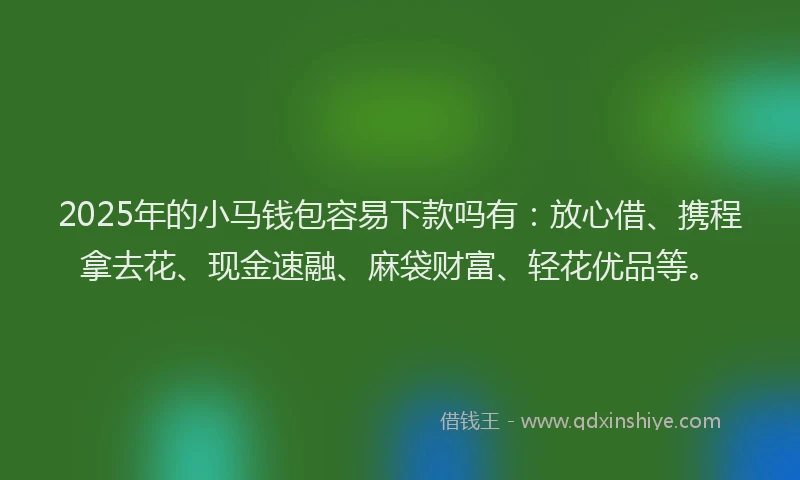 2025年的小马钱包容易下款吗有：放心借、携程拿去花、现金速融、麻袋财富、轻花优品等。