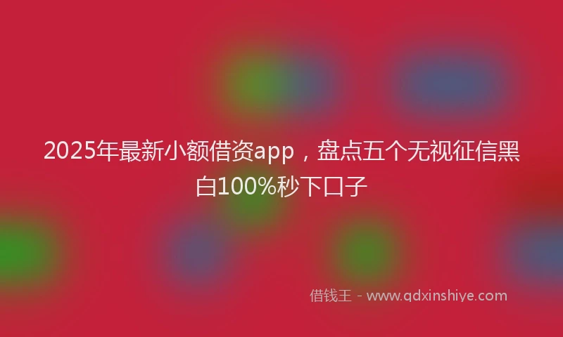 2025年最新小额借资app，盘点五个无视征信黑白100%秒下口子