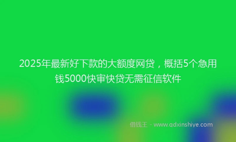 2025年最新好下款的大额度网贷，概括5个急用钱5000快审快贷无需征信软件