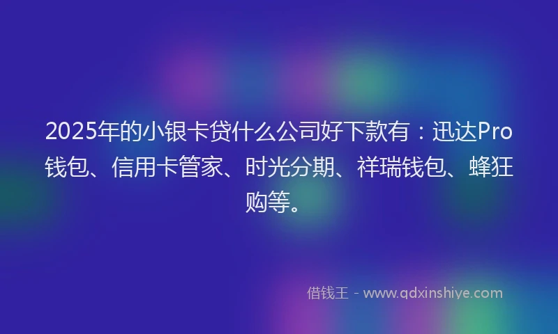 2025年的小银卡贷什么公司好下款有：迅达Pro钱包、信用卡管家、时光分期、祥瑞钱包、蜂狂购等。
