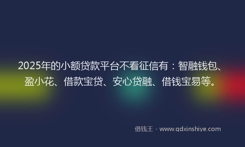 2025年的小额贷款平台不看征信有：智融钱包、盈小花、借款宝贷、安心贷融、借钱宝易等。
