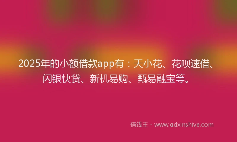 2025年的小额借款app有：天小花、花呗速借、闪银快贷、新机易购、甄易融宝等。