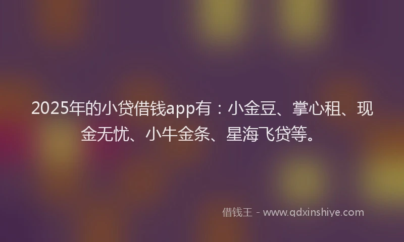 2025年的小贷借钱app有：小金豆、掌心租、现金无忧、小牛金条、星海飞贷等。