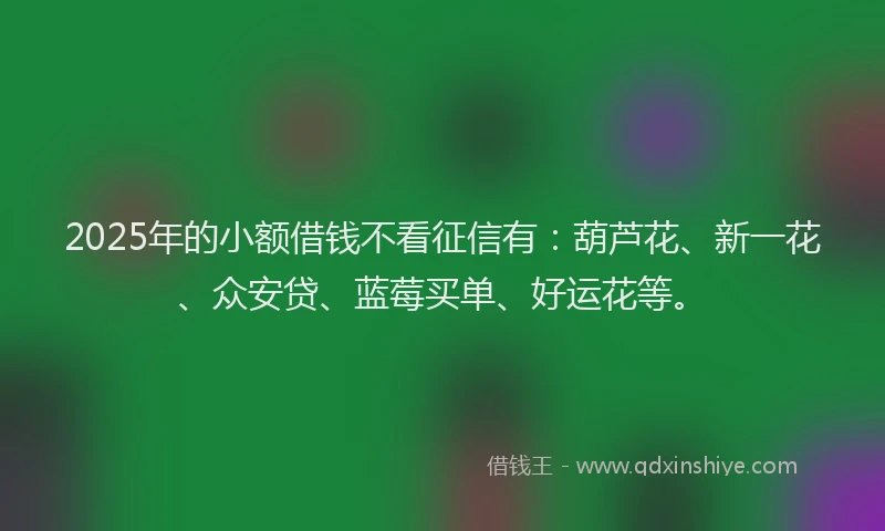2025年的小额借钱不看征信有：葫芦花、新一花、众安贷、蓝莓买单、好运花等。