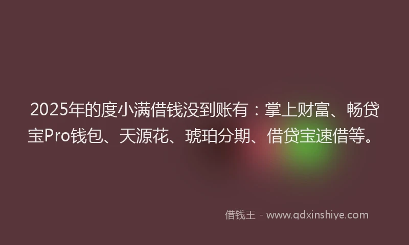 2025年的度小满借钱没到账有：掌上财富、畅贷宝Pro钱包、天源花、琥珀分期、借贷宝速借等。