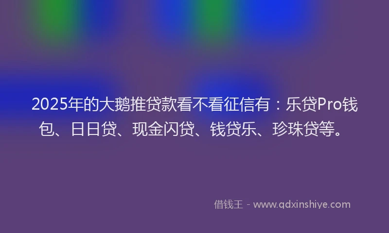 2025年的大鹅推贷款看不看征信有：乐贷Pro钱包、日日贷、现金闪贷、钱贷乐、珍珠贷等。
