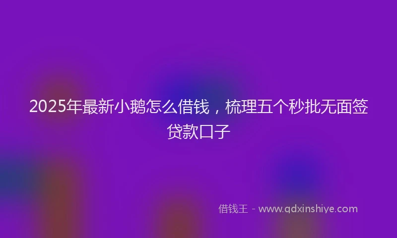 2025年最新小鹅怎么借钱，梳理五个秒批无面签贷款口子