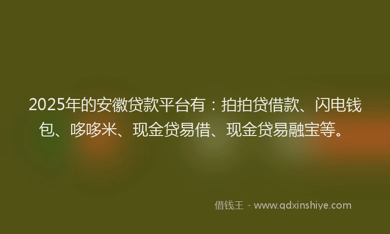 2025年的安徽贷款平台有：拍拍贷借款、闪电钱包、哆哆米、现金贷易借、现金贷易融宝等。