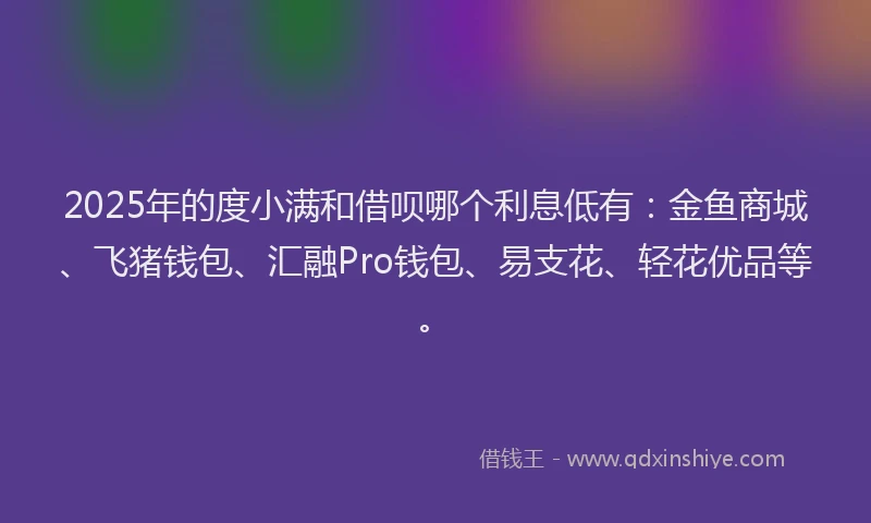 2025年的度小满和借呗哪个利息低有：金鱼商城、飞猪钱包、汇融Pro钱包、易支花、轻花优品等。