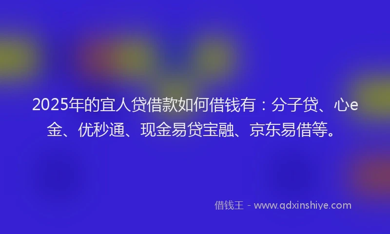 2025年的宜人贷借款如何借钱有：分子贷、心e金、优秒通、现金易贷宝融、京东易借等。