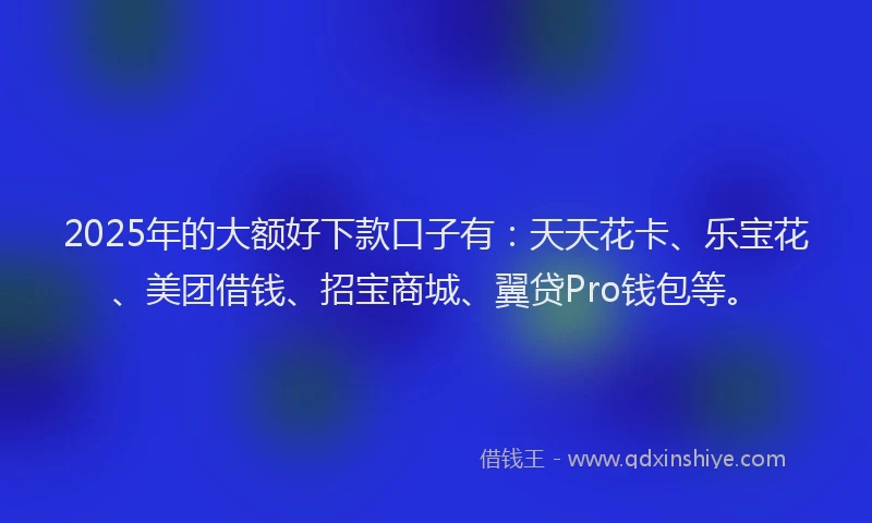 2025年的大额好下款口子有：天天花卡、乐宝花、美团借钱、招宝商城、翼贷Pro钱包等。